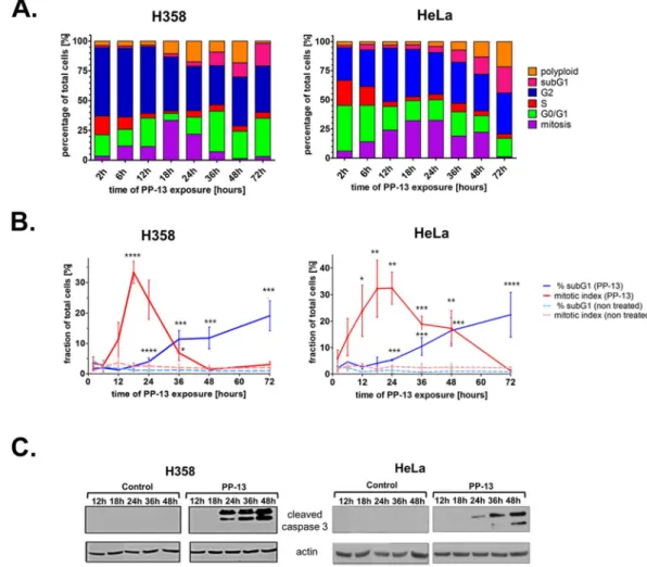 Figure 2.  PP-13 interferes with the mitotic progression of H358 NSCLC and HeLa cells