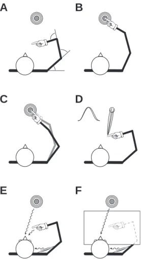 Fig. 1 Illustration of the Bernstein problem. A. Planar reaching movement with a redun- redun-dant arm (3 DOF)