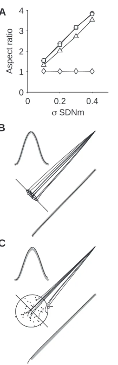 Fig. 3 Conditions for the formation of an uncontrolled manifold in SOFC. A. Variation in the aspect ratio of the terminal variability ellipse as a function of σ SDNm 