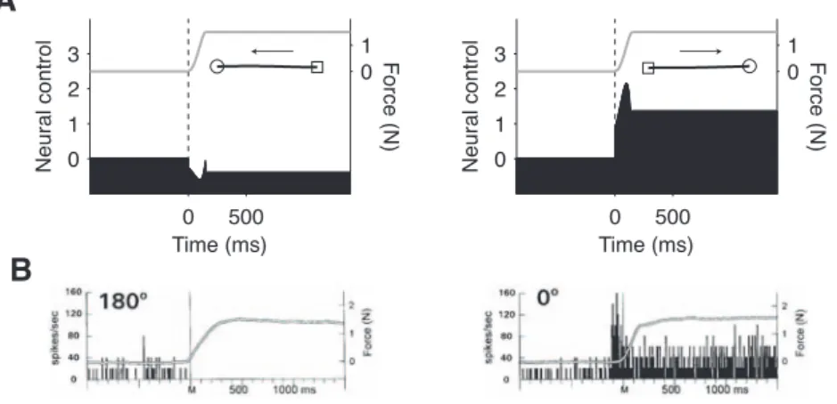 FIGURE 9AB05000123Time (ms)Neural control01 Force (N) 0 5000123 Time (ms)Neural control 0 1 Force (N)