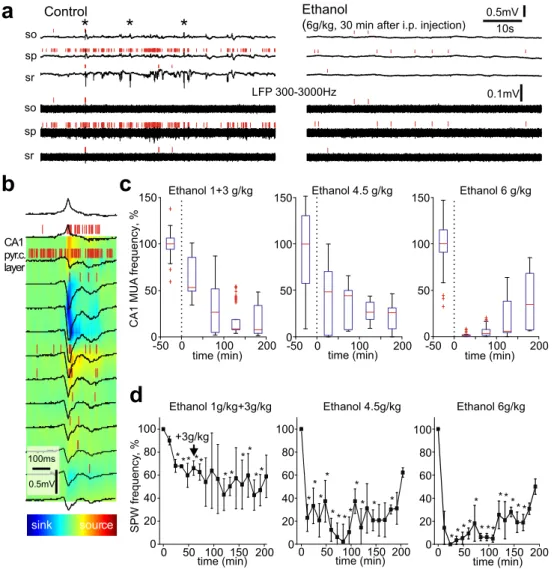 Fig. 1 Effects of ethanol on the electrical activity in newborn rat hippocampus in vivo