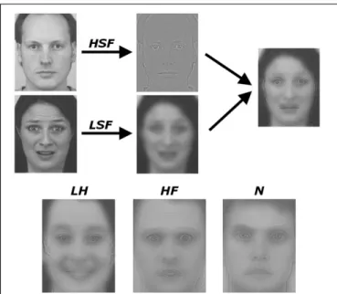FIGURE 2 | Schematic representation of how the hybrid stimuli were created. Male and female faces were selected from a validated database and subjected to spatial frequency filtering