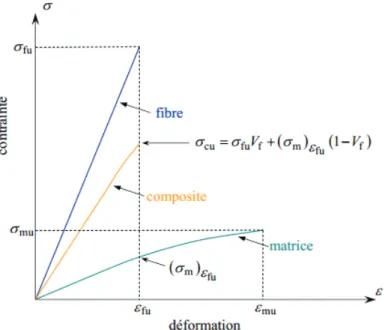 Figure I-45 : Rupture du composite par dépassement de la charge maximal supporté par les fibre [ 9] 