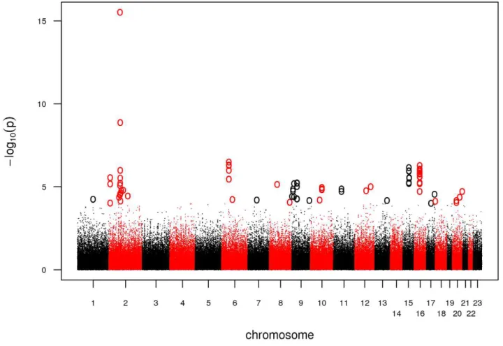 Figure 1. Manhattan plot of the GWA. Association results of the GWA stage. The x-axis represents genomic position along the 22 autosomes and the x-chromosome, the y-axis shows -log10(P) for each SNP assayed