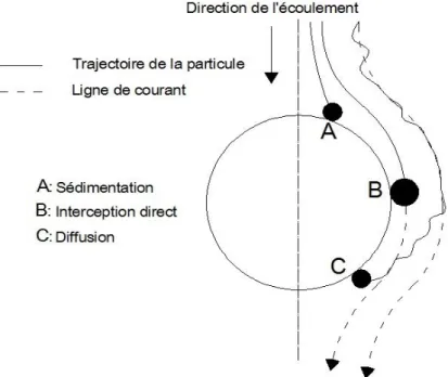 Figure I-8. Mécanismes de capture des particules en suspension dans le milieu poreux (D'après Yao et al., 1971)