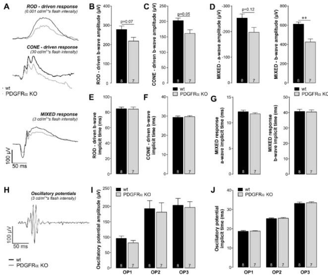 Figure 4. Altered retinal light responses from Müller cell-specific PDGFRα-KO mice. (A) Representative electroretinogram (ERG) waveforms for rods (upper), cones (middle), and mixed (lower) responses from wildtype (black) and PDGFRα KO (grey) mice