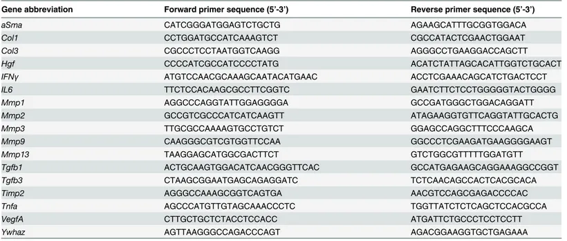 Table 1. List of primers used in RT-qPCR experiments.