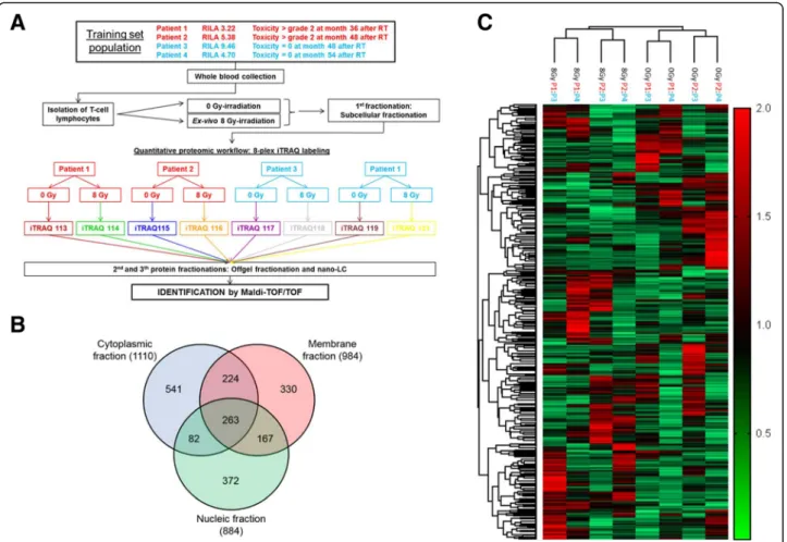 Fig. 1 Quantitative Proteomic Analysis. a Schematic overview of the strategy used for the iTRAQ analysis