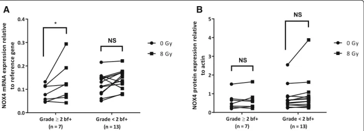 Fig. 4 After irradiation (8 Gy), NOX4 mRNA level is significantly increased in PBMCs of patients with grade ≥ 2 bf+