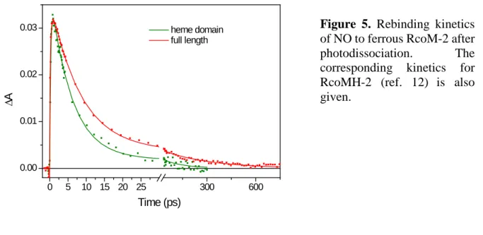 Figure 5.  Rebinding kinetics  of NO to ferrous RcoM-2 after 