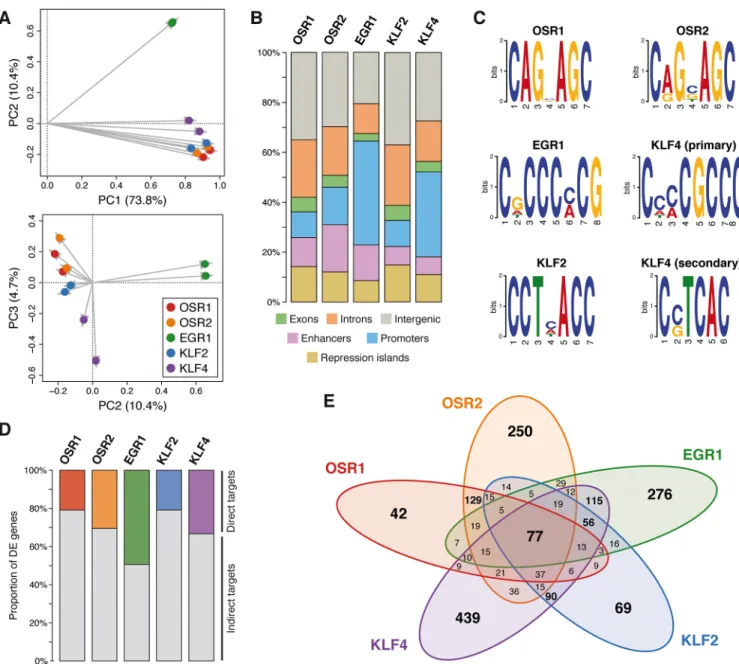 Fig. 6. Regulatory patterns of CT-associated TFs. (A) PCA analysis of the normalized ChIP-seq signal profiles of all TFs and biological replicates