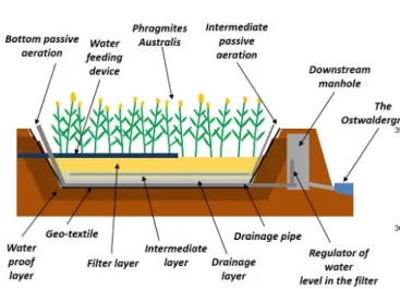 Table 1: Hydraulic properties reported in the literature. Layer References α (cm − 1 ) n (–) θ r (–) θ s (–) K s (cm.min − 1 ) 1 Celia et al