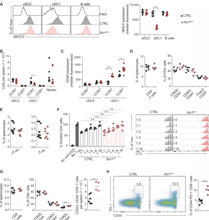 Fig. 1. Absence of MHCII on cDC1s results in higher frequency of effector memory CD8 +  T cells in the spleen