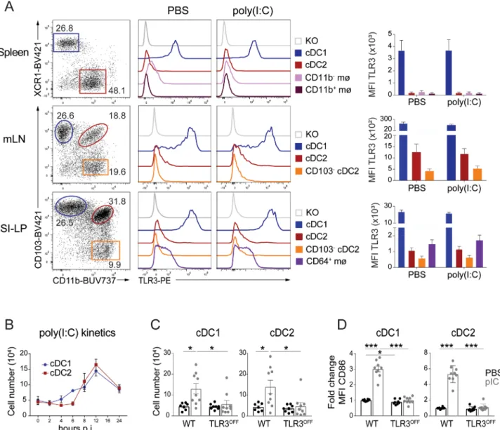 Figure 1. TLR3 expression by mononuclear phagocytes and migration of cDCs in response to poly(I:C)