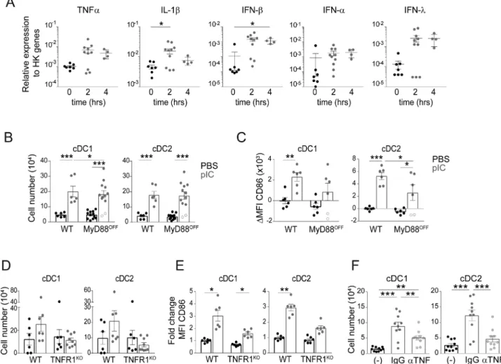 Figure 3. Role of cytokines and MyD88 in the DC response to poly(I:C). (A) Expression of cytokine mRNA in total SI-LP of WT C57BL/6 mice at indicated times after i.p