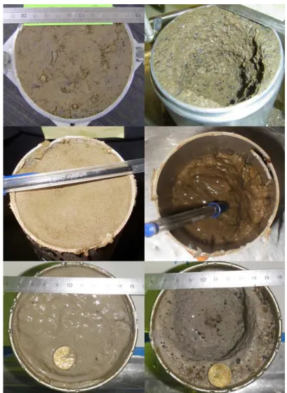 Figure 3.25.  Photographs of soil samples before (left) and after (right) JETs, with from top to  bottom images corresponding to soils A, B and C, respectively