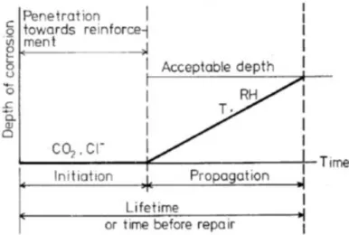 Figure I-3: Évolution de la dégradation des armatures au cours du temps  [Tuutti, 1982]