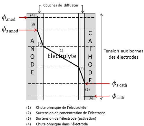 Figure I-21 : Schéma de l’évolution du potentiel dans un milieu électrolytique pour une  distribution tertiaire