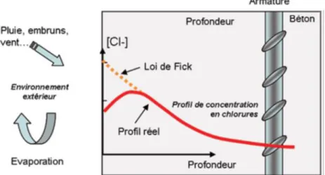 Figure I-24 : Schéma de l’évolution de la concentration en chlorure dans un béton soumis à  un environnement extérieur agressif [Baroghel, 2008]