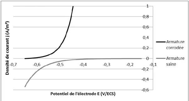 Figure II-2 : Courbes Intensité-Potentiel d’une armature corrodée et d’une armature saine  issues des paramètres électrocinétiques de Sohail et al [Sohail, 2013]