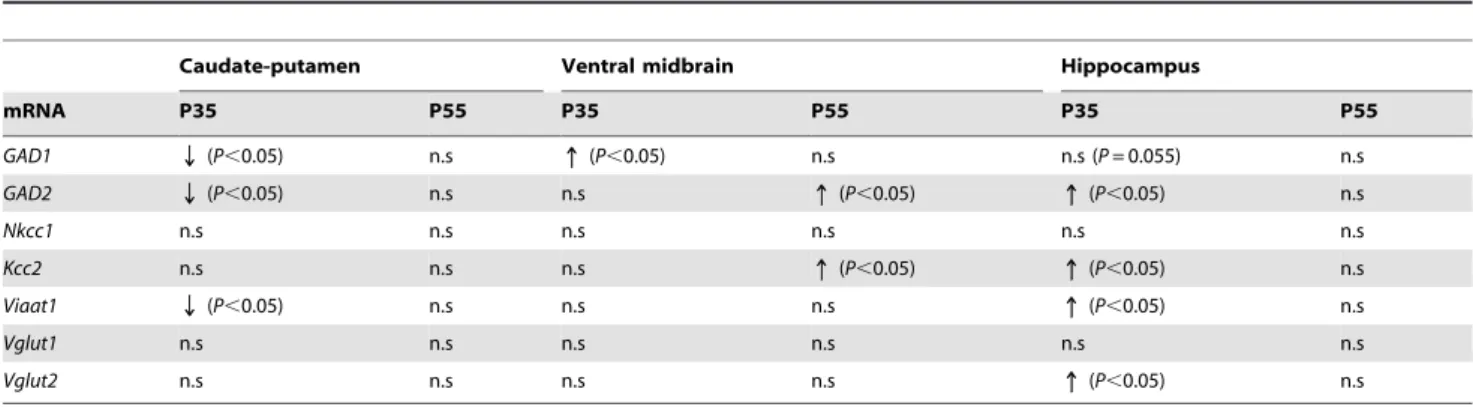 Table 3. Expression changes of the key genes involved in the GABAergic and glutamatergic metabolism in the brain of pre- pre-symptomatic and pre-symptomatic in Mecp2-deficient versus wild type mice.