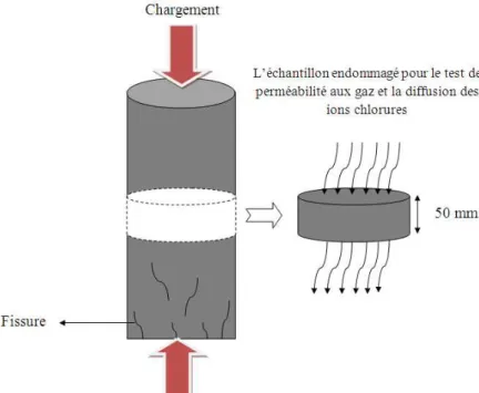 Figure 2-18: Extraction d’un disque d’une éprouvette sollicitée préalablement en compression uniaxiale