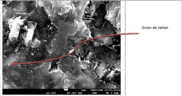 Figure 3-7: Images MEB et mirco-analyses de la pâte de liant à base de CEM III à l’âge de 28 jours.