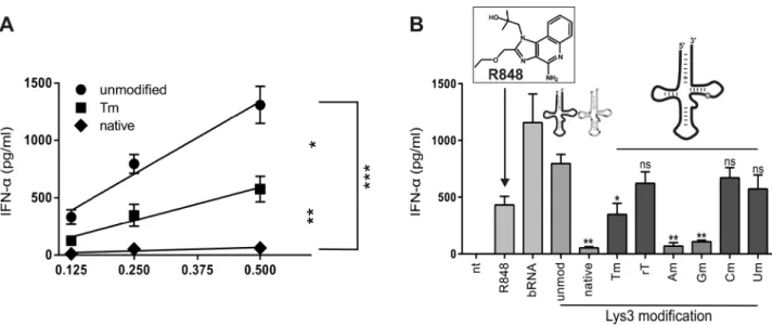 Figure 6. Immunostimulation of single modified tRNAs. (A) Isolated PBMCs were stimulated with indicated tRNAs encapsulated with DOTAP at a concentration of 0.5, 0.25 and 0.125 ␮ g / ml