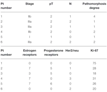 TABLE 2 | Clinical characterization of patients with pathomorphosis after PO treatment (up) and receptor status and proliferative index of their tumors (down).