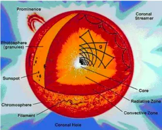 Figure 1.9: Structure of a Sun-like star. Credit: NASA 1.2.5 Stellar noise