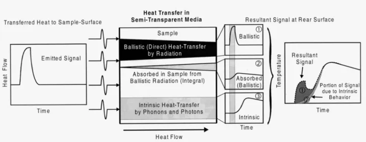 Figure  3.6 :  Différenciation  des  processus  de  diffusion  intrinsèques  et  des  processus  liés  au  rayonnement ‘direct’ dans la méthode transitoire 2