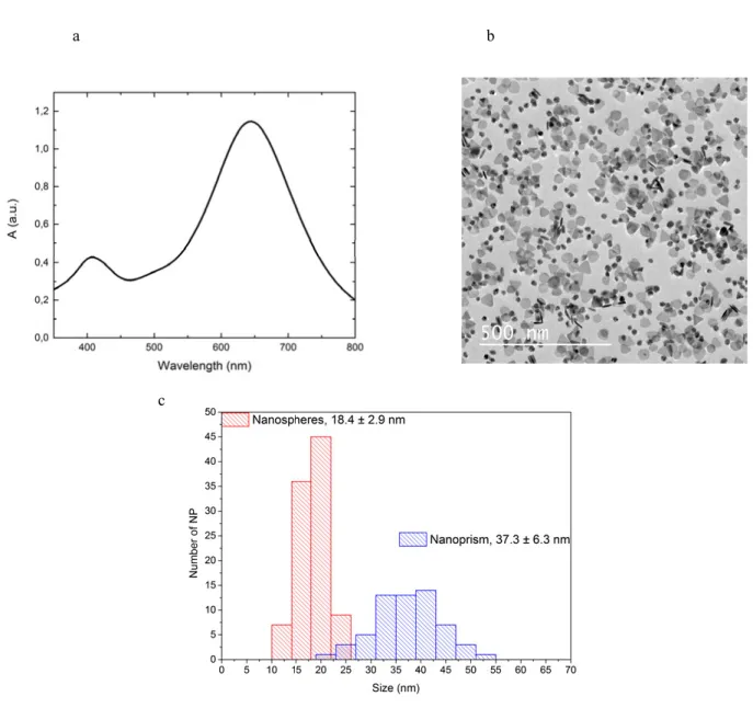 Fig. 2. (a) absorbance of colloidal solution of nanospheres and nanoprisms; (b) TEM image of colloidal solution, (c) size-histogram analysis