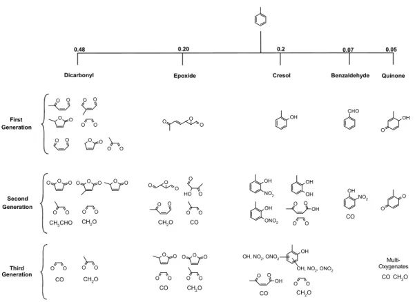 Fig. 1. Major reaction products in the toluene photooxidation system as implemented in the TOL MCM3a model used in this study