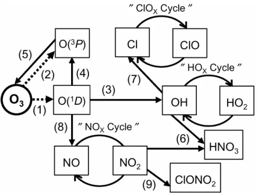 Figure 1. Schematic of the reaction pathways involving O( 1 D) formation in the O 3  photolysis  in the stratosphere