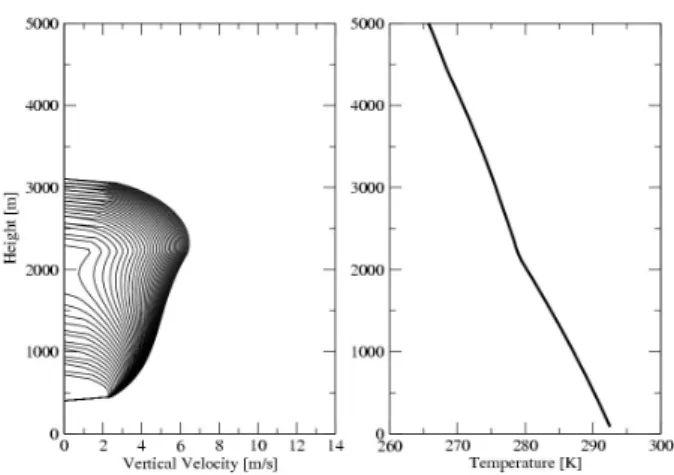Fig. 2. Cloud updraft velocity and temperature profile; Different colours indicate different initial cloud base radii.