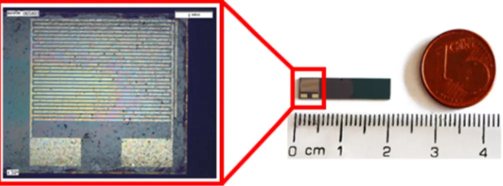 Fig. 1. Sensors fabricated on Si/SiO 2  based on AZO nanocrystals deposited by drop coating