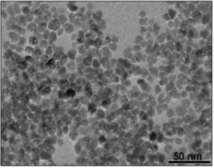 Fig. 2 shows a typical Transmission Electron Microscopy (TEM) image of the AZO NPs with homogeneous  sizes (diameters about 10 nm) and shape dispersions