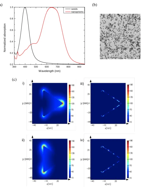 Figure 1: a) Normalized absorption of nanospheres and nanoprisms solutions and b)  visualization of the electric field enhancement normalized to the incident electric field  in the nanoprism for wavelength of peak 1 under z-oriented p-polarized light (i) a