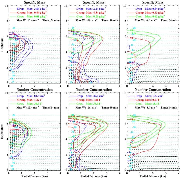 Fig. 5. Spatial distributions of specific mass (top panels) and number concentration (bottom panels) for drops, graupel and ice crystals in the maritime simulation at “Cumulus stage” (at 24 min) characterised by an updraft throughout most of the cell, “Mat