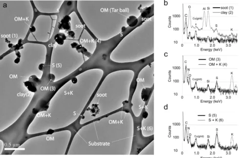 Fig. 5. Bright-field TEM image and EDS spectra of particles collected approximately 40 km south of the center of MC (sample 3 17-PF in Table 1 and Fig