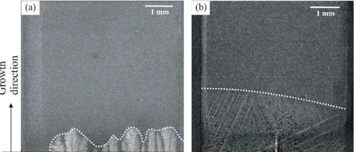 Figure 5. Radiography images recorded in the first stages of growth for samples cooled at rates of (a)  0.01 K/s and (b) 1.0 K/s