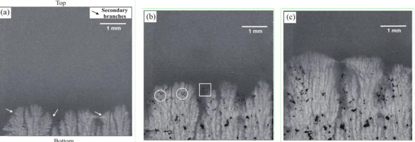 Figure 8. Sequence of radiographs recorded during directional solidification of the Al-3.2wt.%Bi- Al-3.2wt.%Bi-3.0wt.%Cu alloy for a cooling rate of 0.01 K/s applied on both heaters showing the occurrence of a 