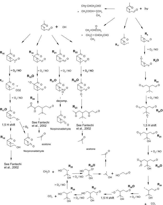 Fig. 2. Main paths of the