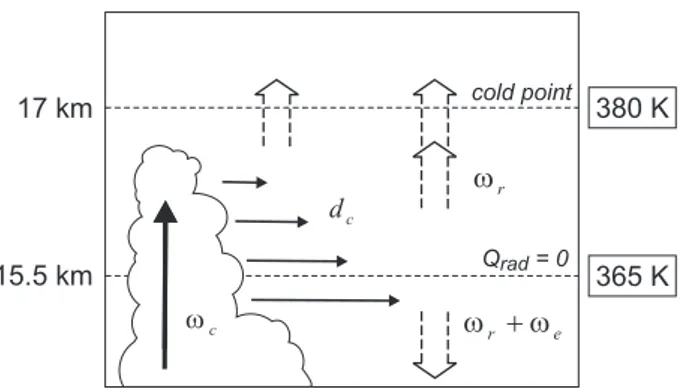 Fig. 1. Schematic overview of transport in the tropical tropopause region. The level of zero radiative heating at an altitude of about 15.5 km (about 365 K potential temperature) marks the transition from large scale subsidence to large scale ascent, as di