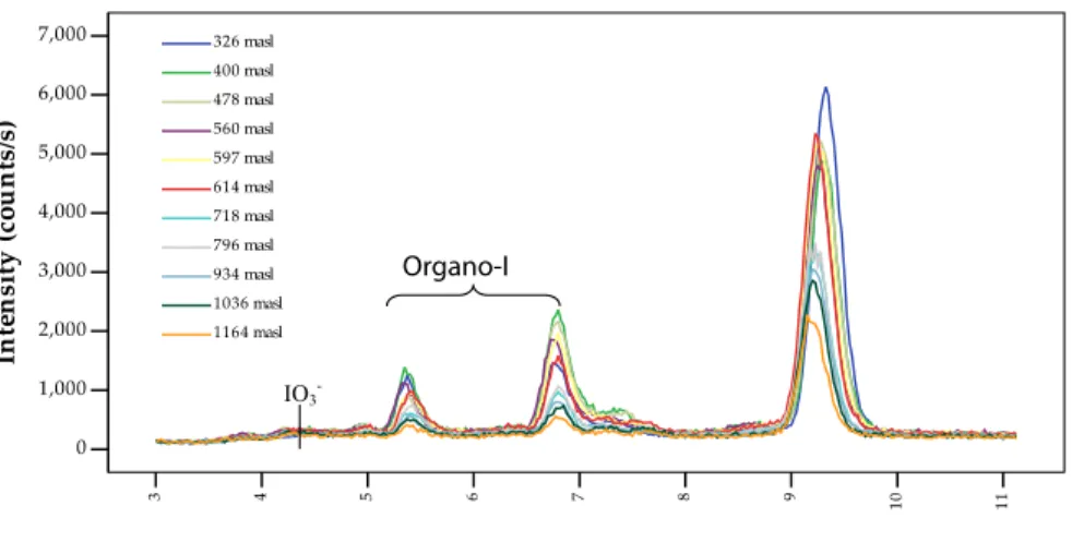 Fig. 3. IC-ICP-MS chromatogram of iodine species in snow. Iodate less than 0.3 nmol/l