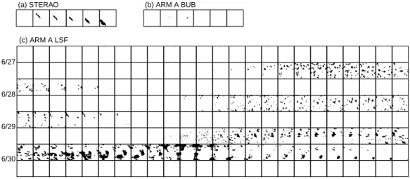 Fig. 2. Series of X-Y contour plots: 1 mm h −1 filled contour of simulated rainfall rates