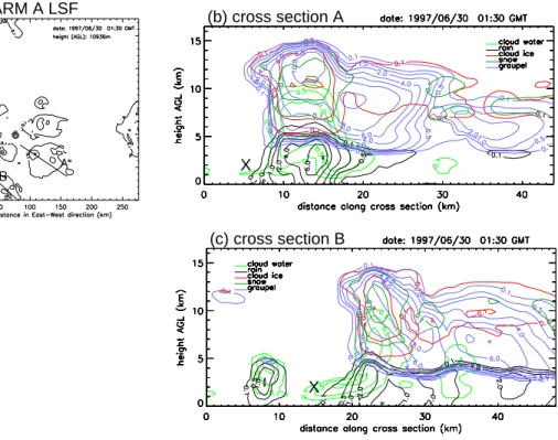 Fig. 7. (a) Cloud ice mixing ratio contours for the ARM A LSF run at about 11 km above ground level on 30 June, 1:30 UTC and locations of cross sections in (b) and (c); (b) and (c): cross sections of hydrometeor mixing ratios with contour levels 0.1, 0.5, 