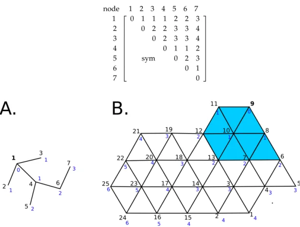 Figure 5. Distances between connected nodes in the graph-method. Node numbers are represented in black