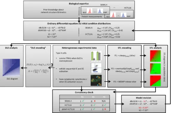 Figure 6: Property-based model analysis framework. Heterogeneous observations on the system are formalized as STL properties