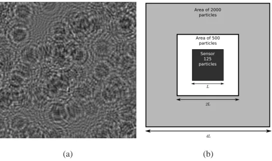 Figure 3: (a) Example of a hologram simulation [14] (1024 ×1024) made with 2000 par- par-ticles (radius of 50µm) spread throughout a volume of 27.44 × 27.44 × 50mm located at z0 = 250mm